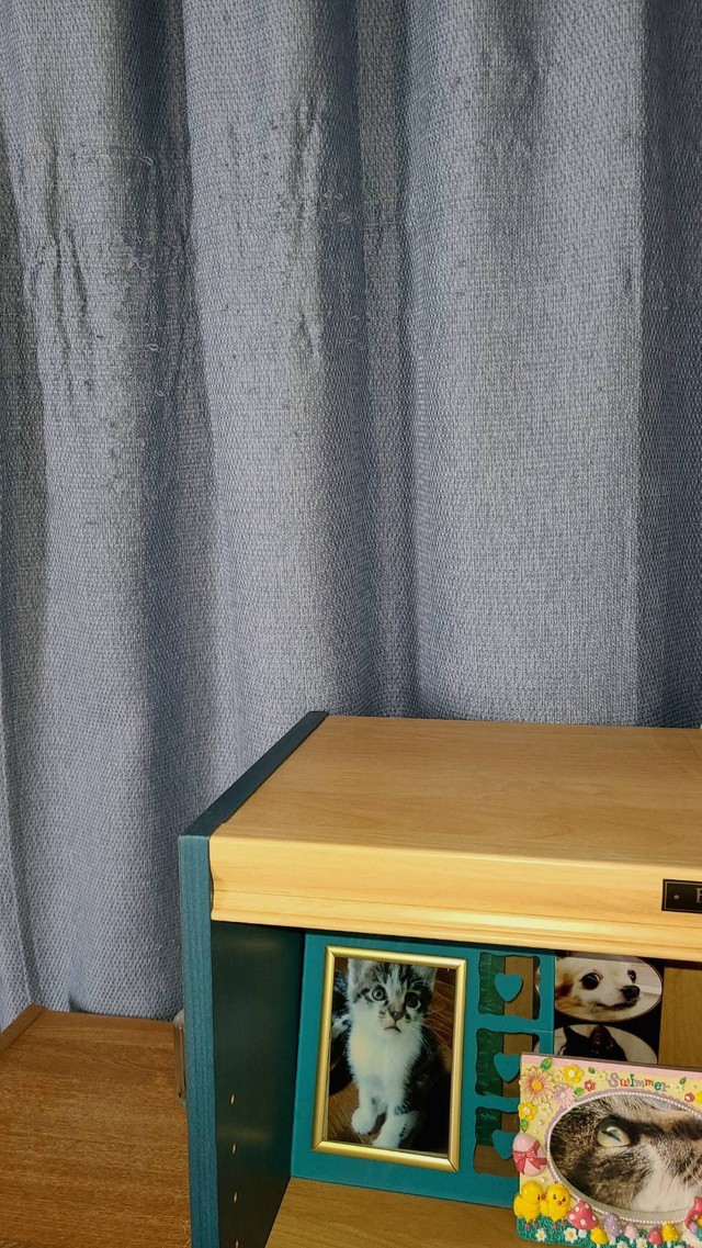 ボロボロになってしまったカーテン。猫さんあるあるですね（Panyさん提供）