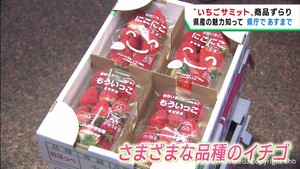 いちごサミットｉｎみやぎ　宮城県産イチゴをＰＲ