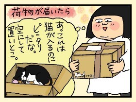 キケン！ 猫の巣大量発生警報　やっぱ、猫じゃけぇ(14)
