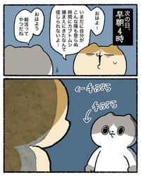 【漫画】『知的好奇心が地獄を引き寄せた話』29（ゆう｜ノープロブレムキャットさん提供）
