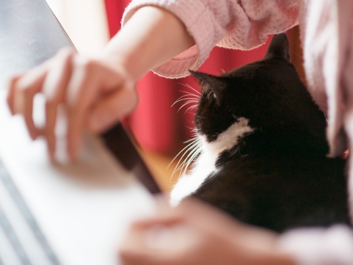 「仕事なんかしてないで、なでて」（小林写函撮影）