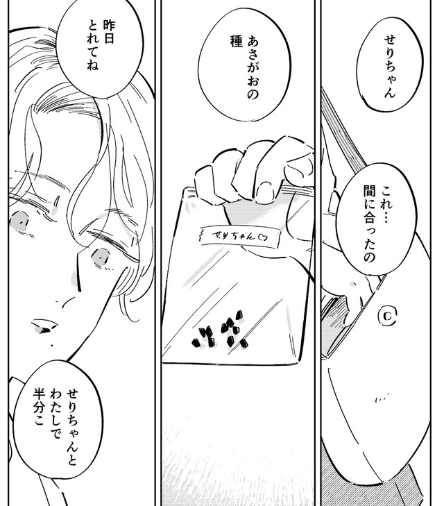 せりの分のアサガオの種を用意していたなずな（春野ユキトさん提供）