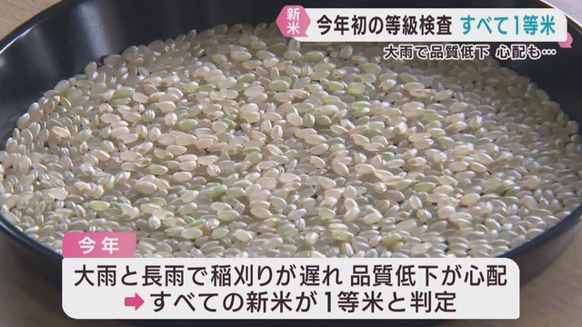 米の等級検査　全てが１等米　宮城・大崎市