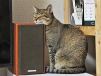 高さがちょうどよかったのでしょうね…（提供：えだももさん）