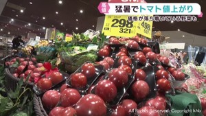 野菜の値段　トマト↑　タマネギ・ジャガイモ・キノコ→　猛暑の影響は？
