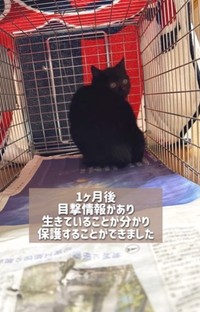 1カ月後に目撃情報があり、生きていることが分かり保護することができた（高村さん提供、Instagramよりキャプチャ撮影）