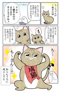 【漫画】『ネコまんがまとめ』16　（も～さんの提供）