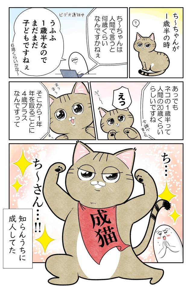 【漫画】『ネコまんがまとめ』16　（も～さんの提供）