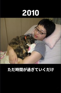 入院中の心の支えは猫たちだった（あゆむさん提供、Instagramよりキャプチャ撮影）