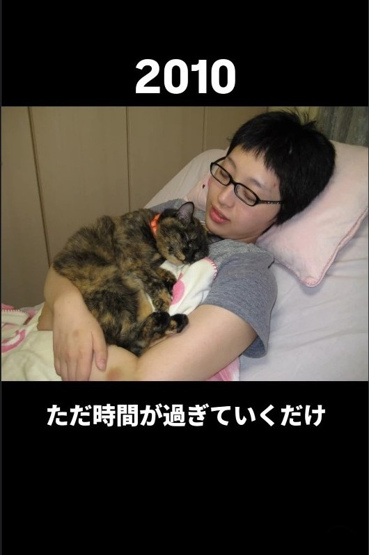 入院中の心の支えは猫たちだった（あゆむさん提供、Instagramよりキャプチャ撮影）