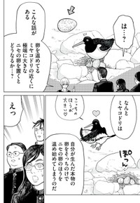 【漫画】『「大きれば大きい程いい！」というわけでは無い。超正常刺激の話』7（小出もと貴さん提供）