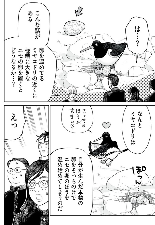 【漫画】『「大きれば大きい程いい！」というわけでは無い。超正常刺激の話』7（小出もと貴さん提供）