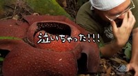 臭い…！！！やっぱり臭い！！！！！