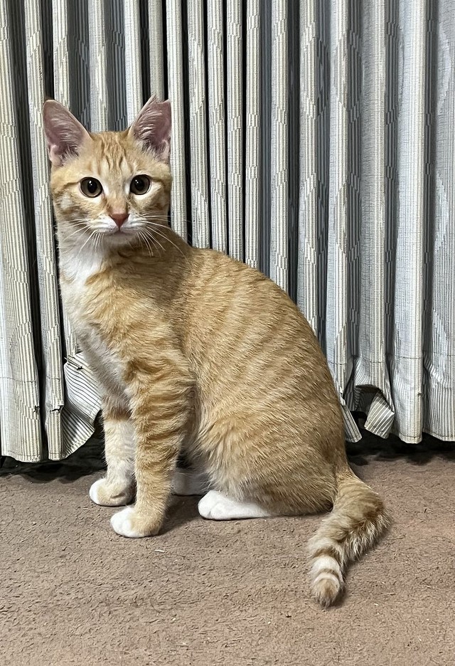 現在のベルちゃん。