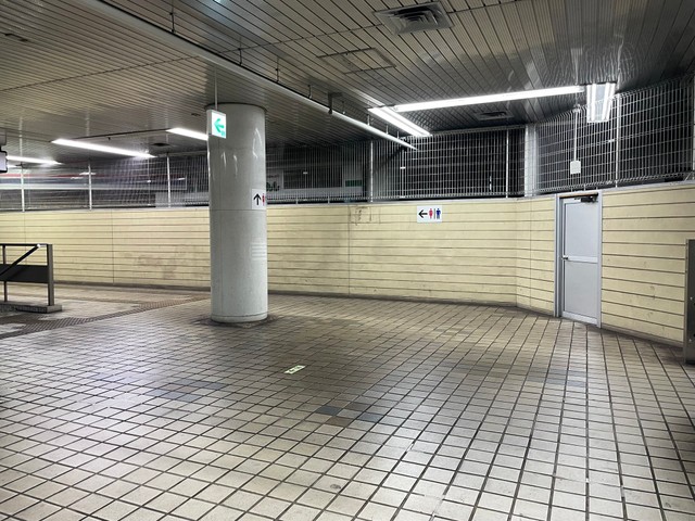 （北瀬みくじさん提供）