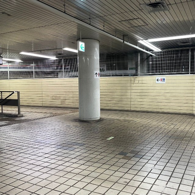 （北瀬みくじさん提供）