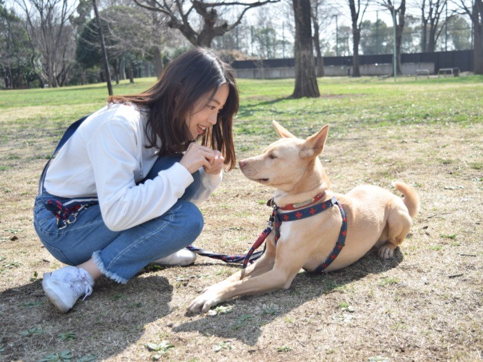 桑原みずきさんと愛犬の友美