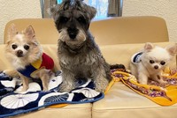 ロンちゃん改め丸福、ずっと幸せにね！