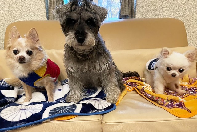 ロンちゃん改め丸福、ずっと幸せにね！