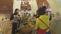 讃岐おもちゃ美術館が1周年　記念イベント開催中　香川