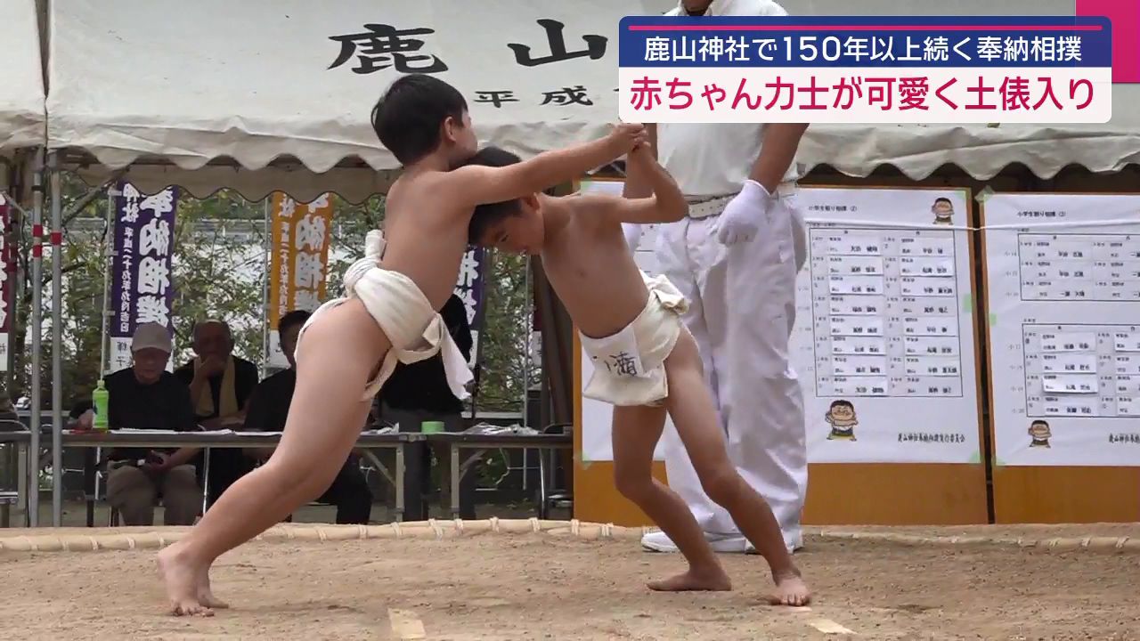 子ども相撲」や「赤ちゃん力士」 相撲の神を祀る鹿山神社（波佐見町
