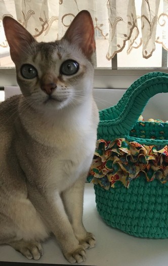 小顔に大きな目がチャームポイント、