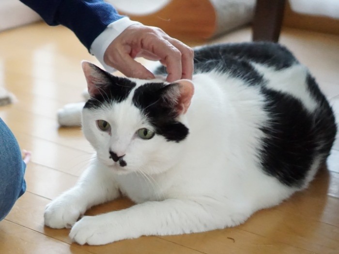 とっても落ち着いています