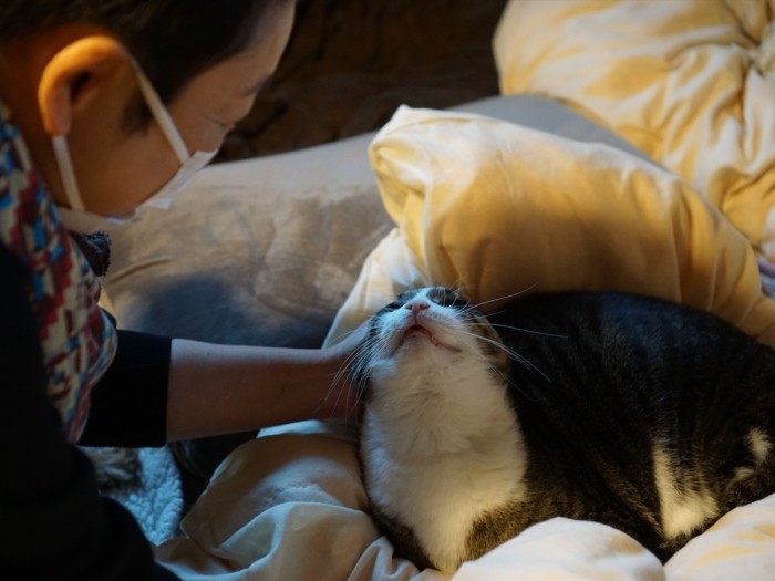 最初は神経質で尖がっていたエバンも、今はママにべったり「僕、みんなでこの部屋で一緒に寝るの楽しみなんだ」