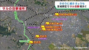 仙台・宮城野区でサルの目撃情報　前日には仙台・若林区でも目撃情報