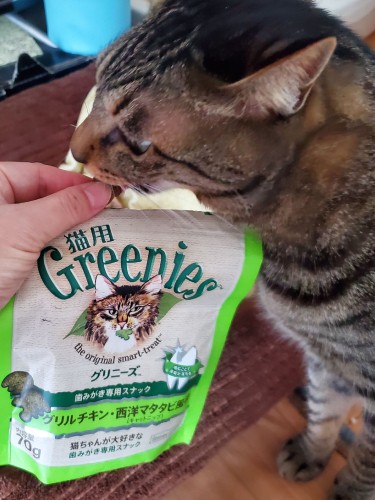 この歯磨き専用スナックシリーズではグリルチキン・西洋マタタビ風味が好き。おいしくケアできればいいですね