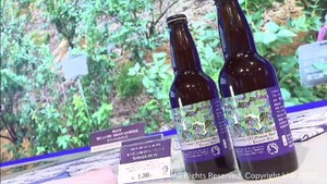 東北大学が創立１１５周年を記念してオリジナルのクラフトビールを販売