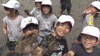 小学生約80人が田植えを体験