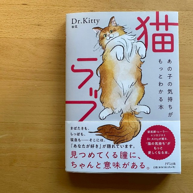「猫ラブ　あの子の気持ちがもっとわかる本」。巻末には愛される言葉集や相性チェックなど「猫にもっと愛される３つのプレゼント」の特典も（Dr.Kittyさん提供）