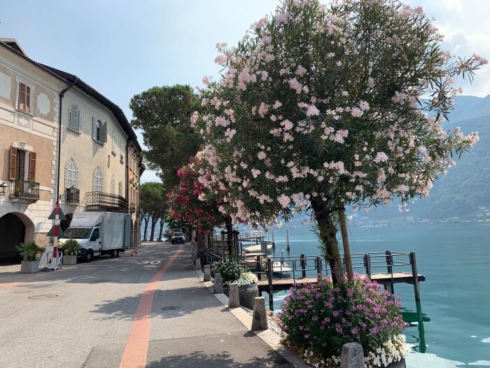 湖の透明度には驚きました。木材をつかった浄化システムを導入しているそう。自然に優しい、という言葉にも納得です