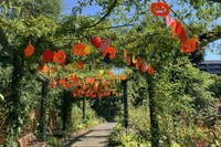 ハロウィーン飾りのトンネル