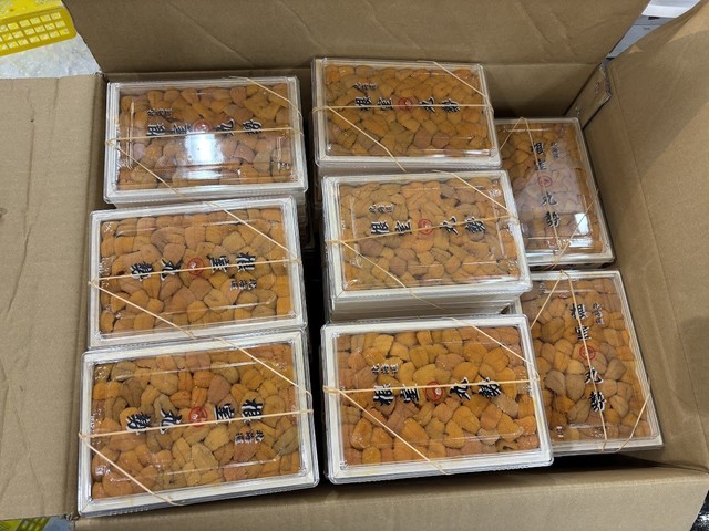 （豊洲市場ドットコム提供）