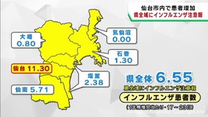 宮城県全域にインフルエンザ注意報　仙台市で感染者が増加
