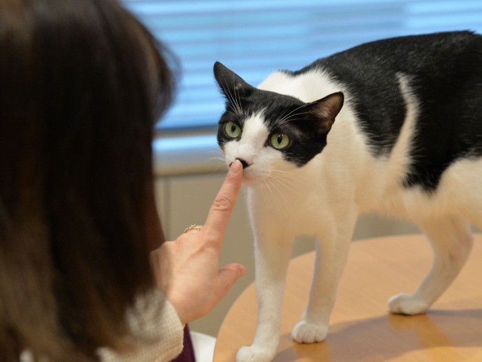 「えっ、僕らのこと書くの？しっかり頼むね」