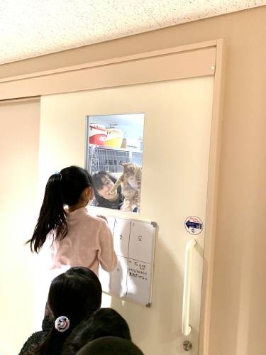 「子猫室」ガラス越しでかわいい子猫ちゃんとご対面。「かわいい～！」と子供たちもテンションアップ