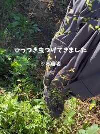 ひっつき虫をつけに行くはなさん…！（提供：＠hana_3mama_さん）
