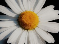 気づけば3ヶ月。自然と続いたデジタルデトックスで見えたもの