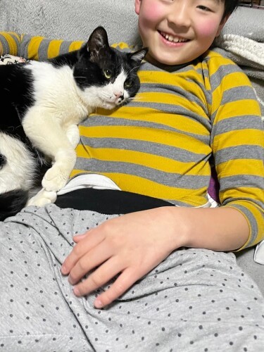 達海くんに甘える