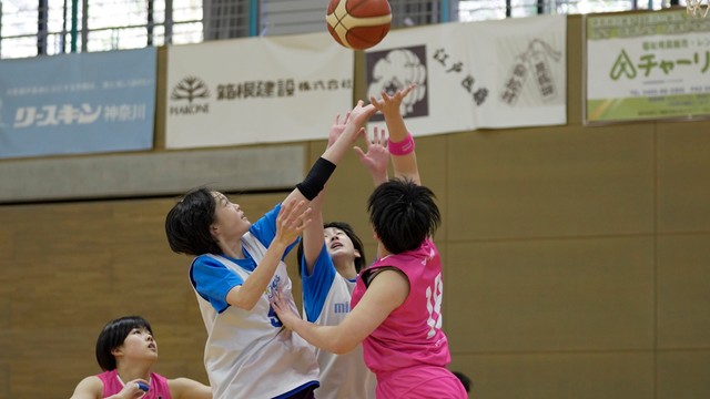 ミニドッグス―秋田ノーザンハピネッツ