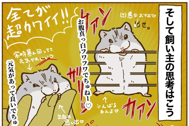 想像と違ったけど、思考はやっぱり「全てが超カワイイ」。以上（提供：遊ハちさん）