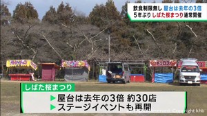 開花はいつ？　宮城県の桜の名所船岡城址公園で桜まつり始まる