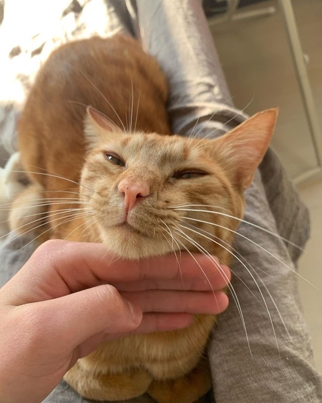 怖がりだったが、甘えるようになった