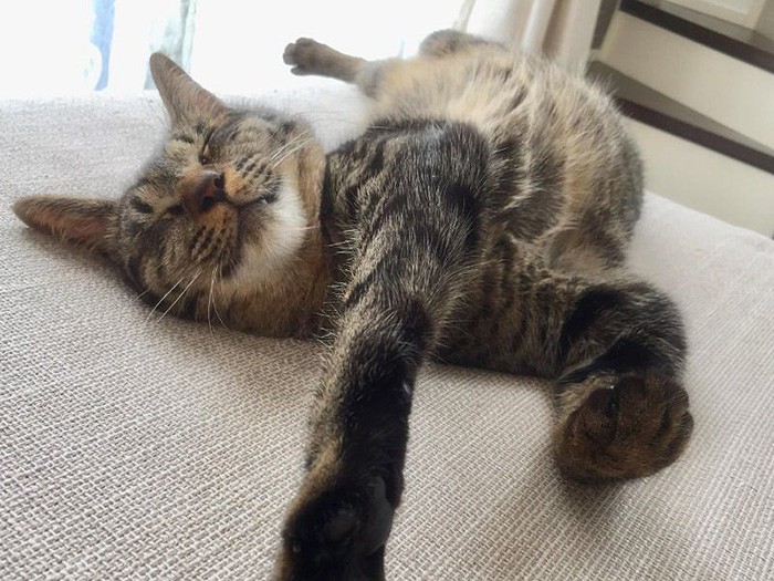 眠くなっちゃった