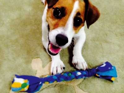 犬との遊びをクリエイトする　フリース生地を使った手作りオモチャ