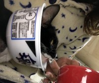 手術が成功し生きることに懸命だった頃。カップ麺の“エリカラ”がサイズピッタリ