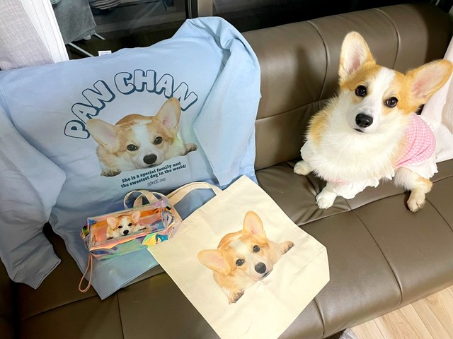 ぱんちゃんのかわいらしいオリジナルグッズ（画像提供：ぱん コーギーさん）